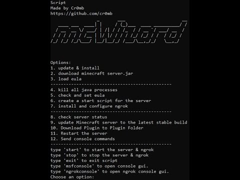 How to make a Minecraft server quickly with python 1.20.4/any version easy tutorial works fast!