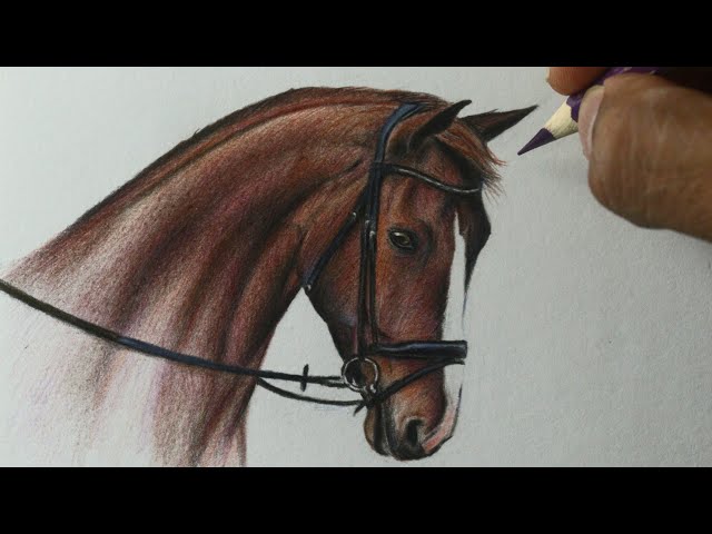 Cavalo Realista  Desenhos realistas, Raposas desenho, Desenho
