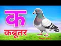 क से कबूतर🕊️ - ख से खरगोश🐰 - कखगघ - K se Kabutar