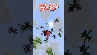 どっちの道を通る? #マイクラ#マインクラフト