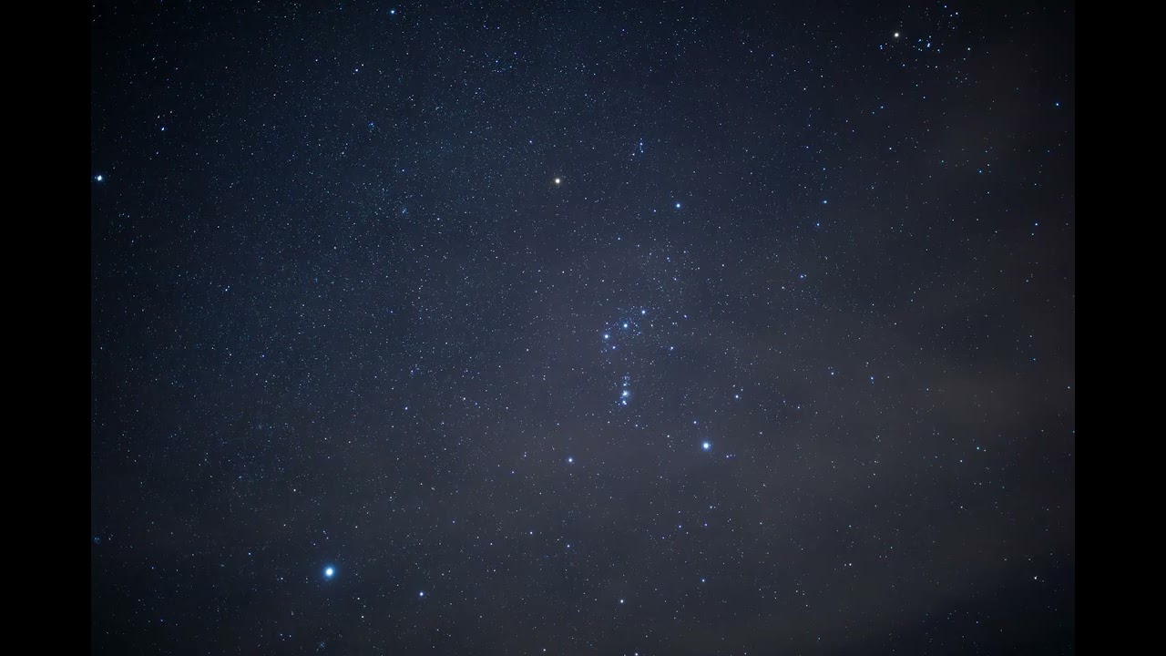 ネプチューン - 日本人は胃腸が弱い