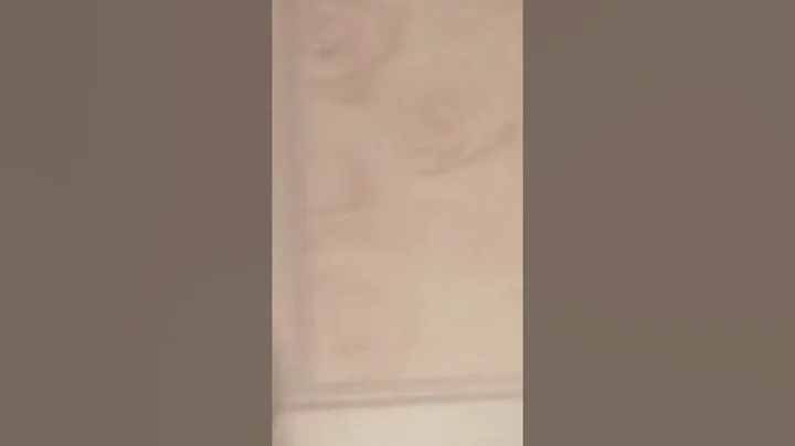 la terreur
