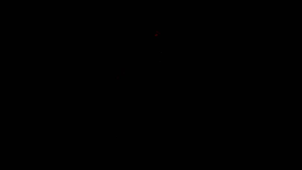 Feu d artifice réussie !!!!! - YouTube