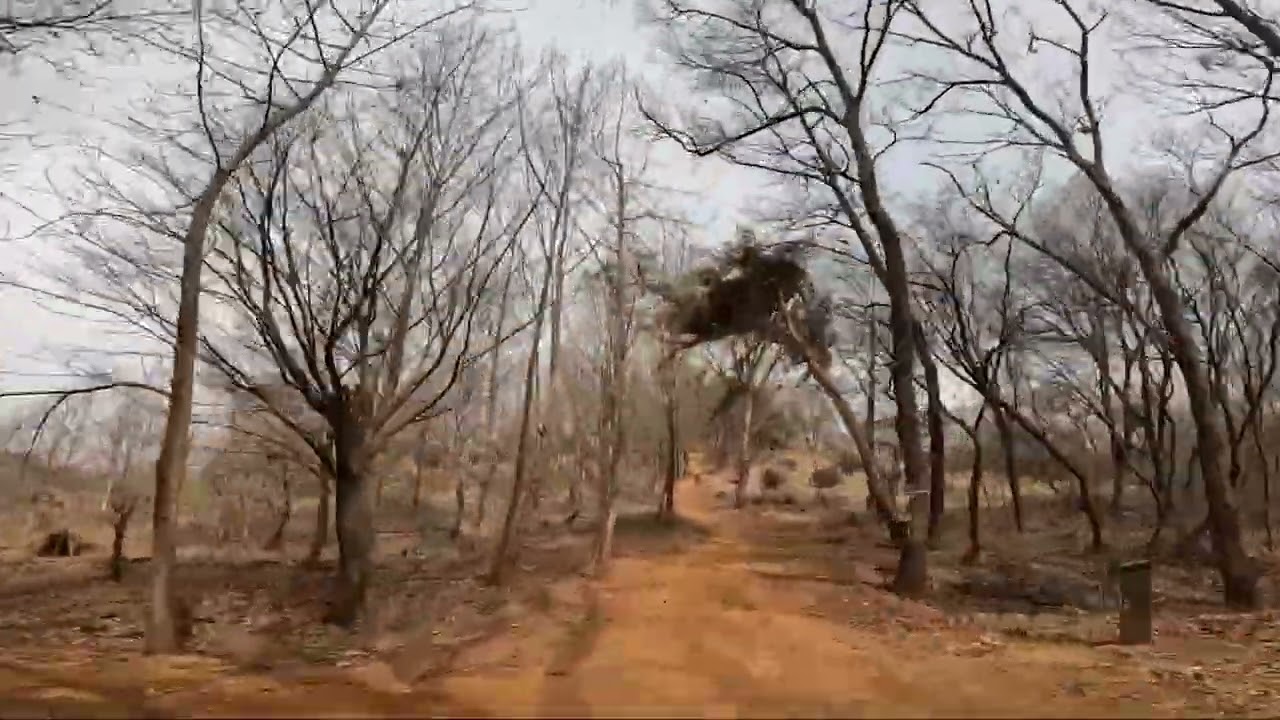 군자봉 늠내길 (2026 02 26)