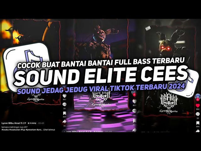 DJ SOUND ELITE CEES V6 COCOK BUAT BANTAI BANTAI KROCO MENGKANE JEDAG JEDUG VIRAL TIKTOK TERBARU 2024 class=