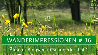 Wanderimpressionen #36 - Äußerer Ringweg in Schöneck - Teil 1 | Vogtland