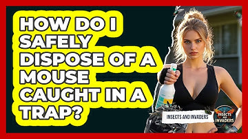 How Do I Safely Dispose Of A Mouse Caught In A Trap? - Insects and Invaders