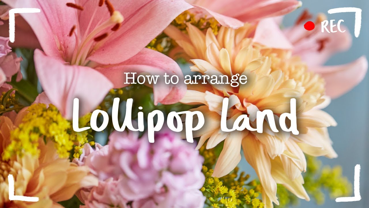How To Arrange Lollipop Land YouTube Maxresdefault