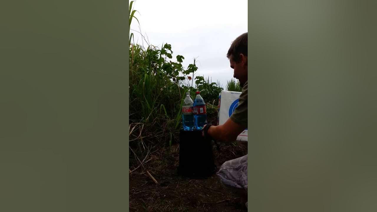 Toxic broadheads vs. Grim Reapers. YouTube