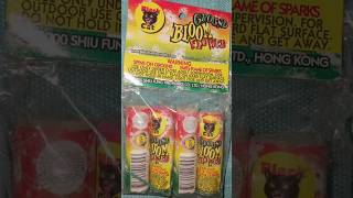 Ground Bloom Flower by Black Cat Fireworks
