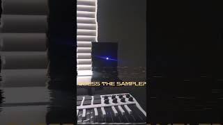 GUESS THE SAMPLE?? #music #beats #hiphop #sampletype #freestyle #flstudio #mpc #rapper #fyp #memes