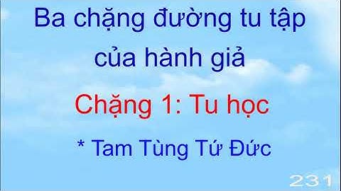 Địa chi tứ đức hợp là gì năm 2024