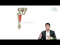 5. Obturator Nerve | Lower Limb Anatomy | Dr. Azam | Medical Maven