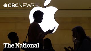 Apple shareholders reject push to scrap DEI programs