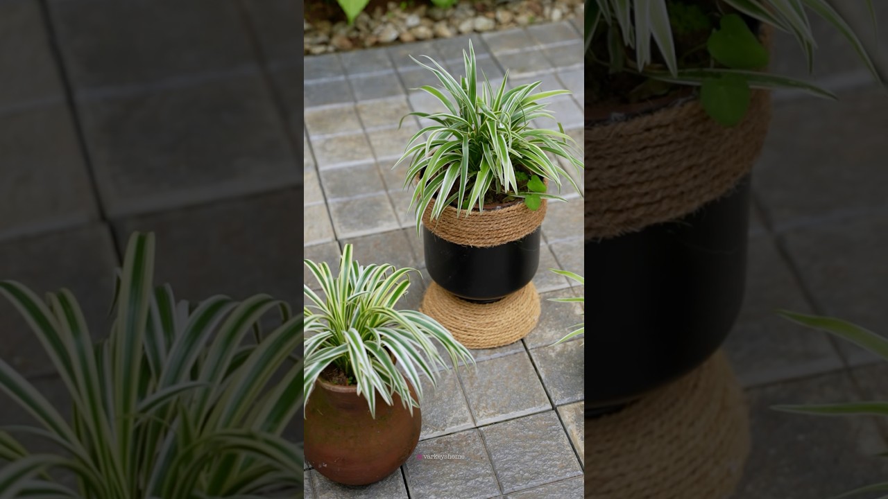 DIY container planter 🪴 