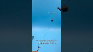 Easy and Practical Sliding Sinker Rig | Must-Learn for Beginners!#fishing #fishingtips #gtknot