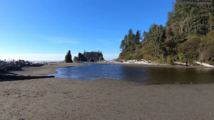 The Fantastic Ruby Beach | Olympic National Park, ...