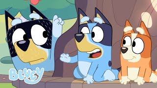 Springtime with Bluey 🌸 | Bluey by Bluey - Official Channel 303,895 views 13 days ago 11 minutes, 2 seconds