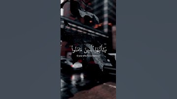 سورة الأحزاب/ القارئ : ريان المحيسني