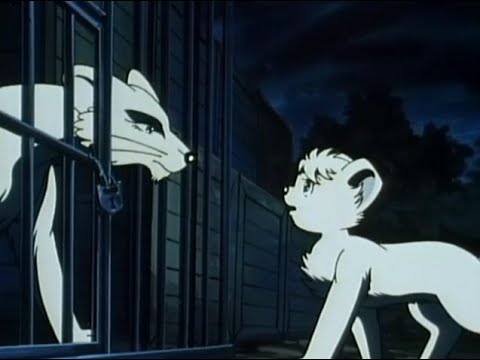 Кимба белый лев 26 (The New Adventures of Kimba The White Lion)