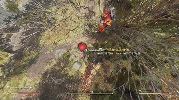 Hackers Again Crash Public #fallout76 Server - vex-troa mocks the USA, exploits + confetti gun used