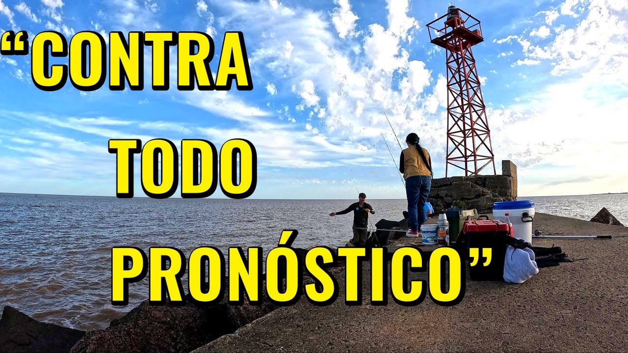 “Cuando Nadie Esperaba Nada... ¡Las Piezas Empezaron a Picar!”