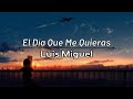 El Día Que Me Quieras - Luis Miguel (Letra / Lyric Video) (Resubido)