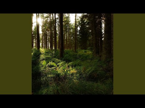 Katoto Kanavyo Penda