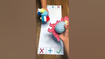 fidget pop it toys | oddly satisfying video | it