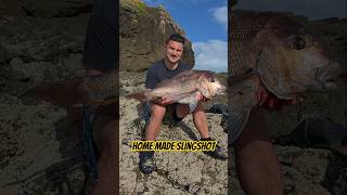 ya gone make me loose my mine #slingshot #snapper #nzfishing