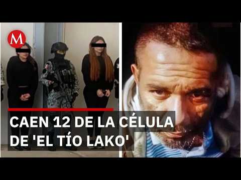 12 members of the cell led by 'El Tío Lako' arrested