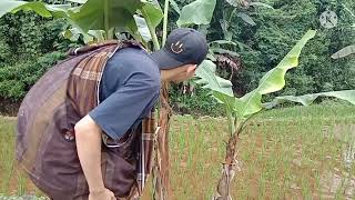 Ngintip Cewe Lagi Mandi