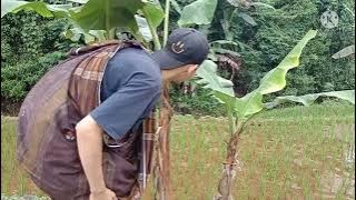 ngintip cewe lagi mandi !!!