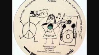Peacemaker & Leah Symons - Let the Feeling Grow.wmv