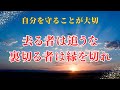 【 去る者は追うな・裏切る者とは縁を切れ】#心に響く言葉 #名言 #開運