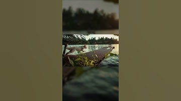 Best Dog Running on Dock Photo Animation - Amazing NFT Creation - Custom Parallax Photo Animation