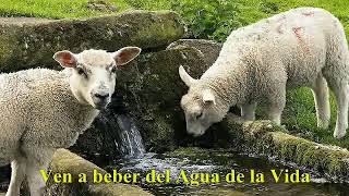 Video thumbnail of "Hay un Río"