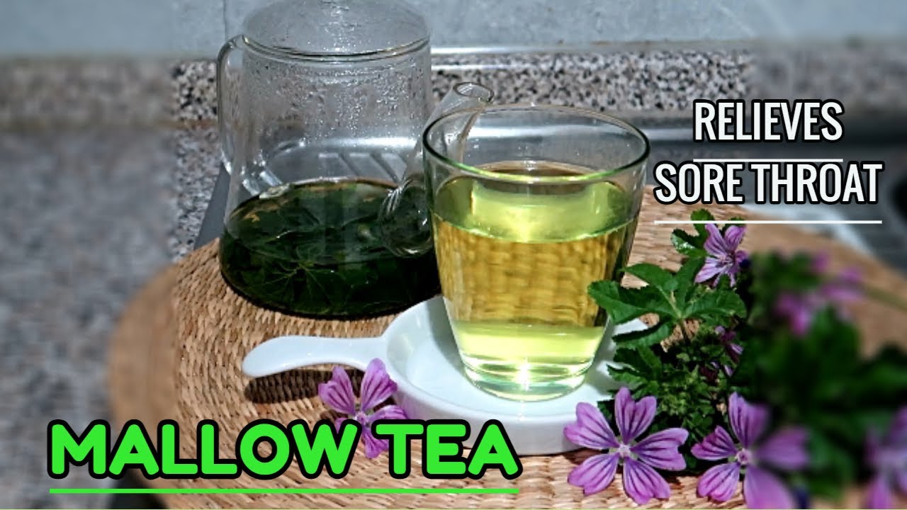 How to Make MALLOW TEA / Health Benefits & Medicinal Uses / TeaTime
