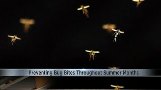Preventing bug bites throughout the warmer summer months