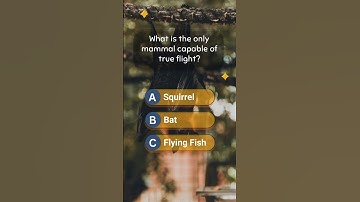 Can you guess the answers? | #quiztime #quizchallenge #triviaquiz #triviatime #triviachallenge