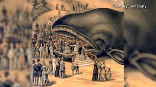 A Unique Tourist Attraction: Jim Duffy is Sharing a Whale Tale for Throwback Thursday