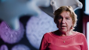 Spinozalaureaat 2019 - Yvette van Kooyk, Amsterdam UMC