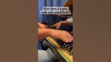 Ever seen a piano with only black keys?