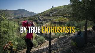 Quinta Da Côrte From Douro Valley, Portugal