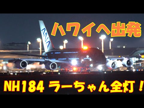 これは見逃せない…NH184 ラーちゃん全灯タキシング、ハワイへ出発