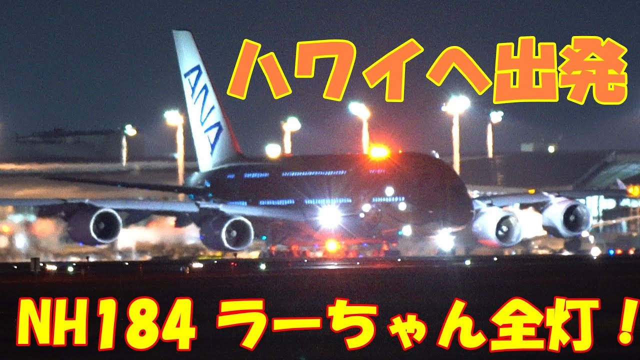 これは見逃せない…NH184 ラーちゃん全灯タキシング、ハワイへ出発