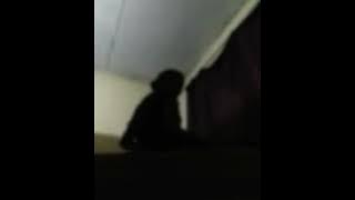 Sri lankan spa cought on camera