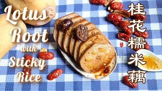 Match Highlights 🏵[English/英文] Stuffed Lotus Root with Sticky Rice 桂花糯米藕 | 蜜汁糖藕 Chinese Appetizer 中式冷盘甜点  快速灌米窍门