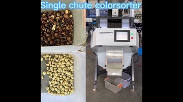 z64 macadamia color sorter