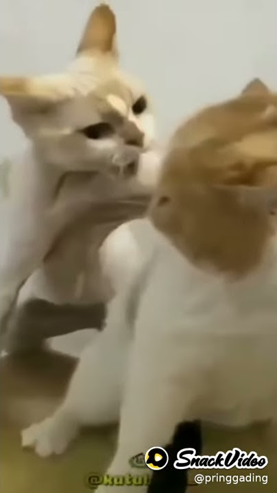 Story wa kata baba lucu...